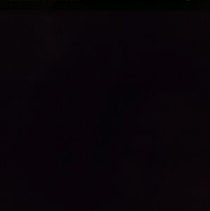 Meet your Posher, Luis